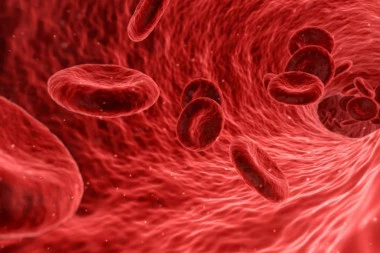 Lekari u očaju: Najnovije istraživanje pokazalo da krvna plazma ne leči koronu