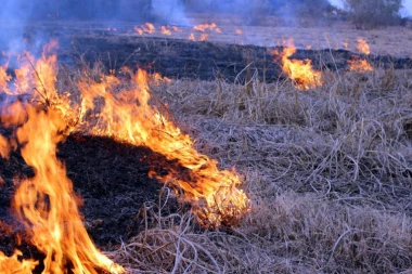 Požar na planini Gučevo: Vatra zahvatila veliki deo šume!
