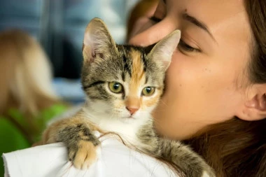Zašto mačka umiva mesto gde ste je pomazili ili poljubili? Ne, nije da bi skinula vaš miris, OVO je razlog