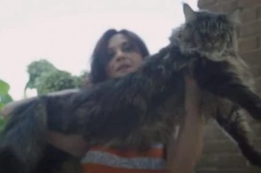(VIDEO) Upoznajte Barivel, najdužu mačku na svetu!
