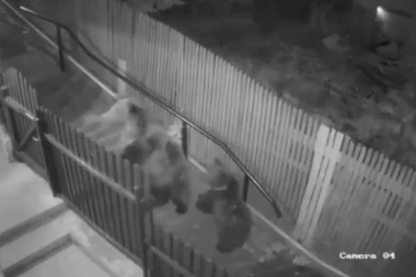 ŽENA ZA DLAKU IZBEGLA SIGURNU SMRT: Pošla da baci smeće a onda su je napala dva medveda (VIDEO)