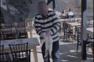 ZVERSKI i za "debelu" KAZNU! Čovek baca mačku sa terase restorana u reku kao da je lopta! Pogledate snimak iz Niša koji je frapirao sve koji su ga videli! (VIDEO)