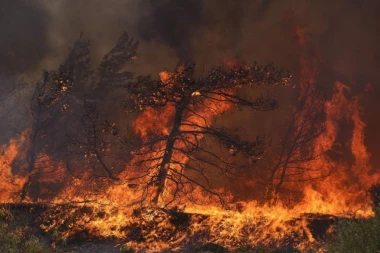 VATRENA STIHIJA GUTA ŠPANIJU I PORTUGAL! Stravični požari danima uništavaju sve pred sobom, ima i MRTVIH! (VIDEO)