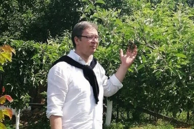 (FOTO) Vučić objavio fotografiju u dosad neviđenom izdanju: Poslao jasnu poruku građanima!