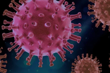 još 107 novozaraženih koronavirusom u Srbiji, u poslednja 24 časa kovid-19 odneo DVA života!