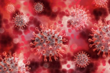 Još 73 novozaraženih koronavirusom, u poslednja 24 časa Kovid-19 odneo jedan život!