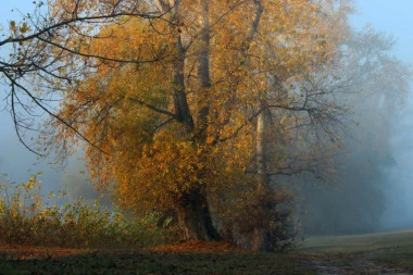 Vreme danas suvo i hladno: Magla i slab mraz, temperatura do 9 stepeni