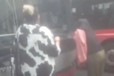 (VIDEO) ZAUSTAVILA SAOBRAĆAJ U ZEMUNU: Žena stala ispred autobusa i napravila HAOS!