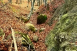 KUGLE NA POVLENU IMAJU ISCELITELJSKU MOĆ?! Priča se da su ih napravili VANZEMALJCI i da  ISPUNJAVAJU ŽELJE! (FOTO, VIDEO)