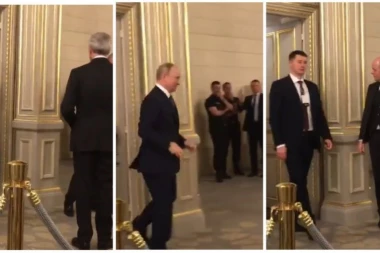 PUTINOVE GORILE SKUPLJAJU NJEGOV IZMET I MOKRAĆU! Najbizarnija teorija ikada - SVE JE POČELO OD ŠOK SNIMKA! (VIDEO)