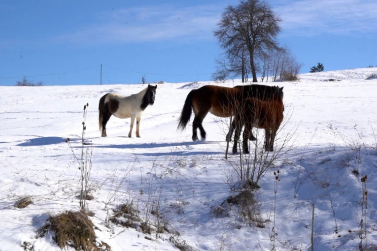 ŽIVOT U BALKANSKOM SIBIRU! Ovde temperature mogu da se spuste i do -39! (VIDEO)