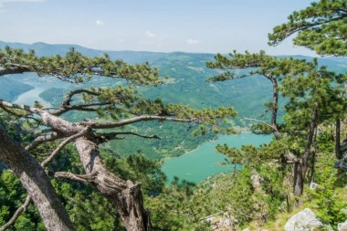 TIJANA NESTALA U JEZERU PERUĆAC! Skakala sa prijateljima u vodu, ali nije izronila