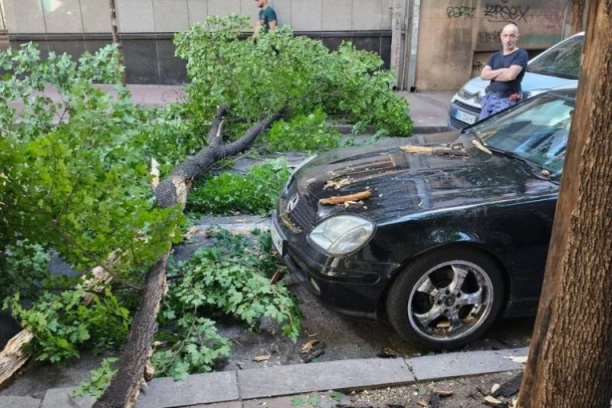 KRENUO NA POSAO, UŠAO U AUTOMOBIL, A ONDA MU SE DRVO STROVALILO NA GLAVU! Nezgoda se desila na parkingu u Železniku