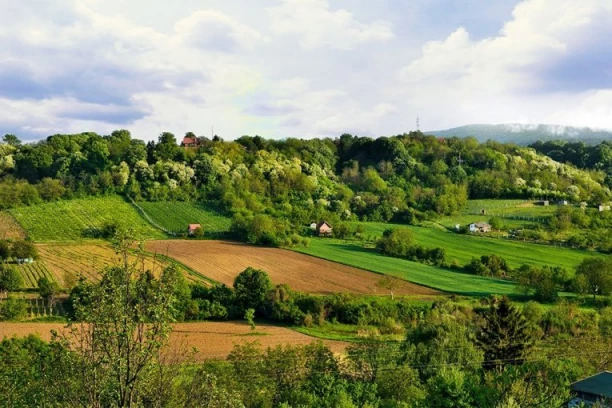 NEVEROVATNO OTKRIĆE NA FRUŠKOJ GORI: Gostima je stroga zabranjeno da ga uzimaju ili diraju, a evo zbog čega