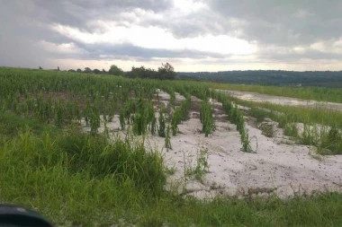 GRAD TUKAO POLA SATA, URNISAO SELA OKO TOPOLE! Od poljoprivrednih useva ništa ostalo nije! (FOTO)