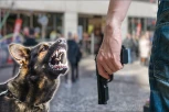 ŠOKANTNO! Policija nasred ulice ubila čoveka sa podivljalim psom! ŽIVOTINJA POČELA DA NAPADA LJUDE, ON UPERIO PIŠTOLJ U POLICAJCA!