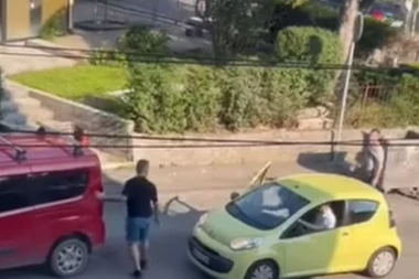 NAKON SAOBRAĆAJKE IZAŠLI IZ VOZILA I POTUKLI SE: Incident u Žarkovu! (VIDEO)