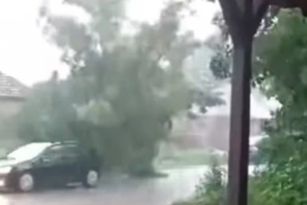 ZA SEKUND BRŽI OD SMRTI! Leskovcem protutnjala stravična oluja: DRVO UMALO PALO NA AUTO U POKRETU! (VIDEO)