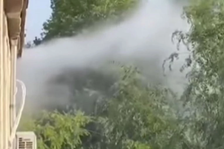 GORI STAN U ZRENJANINU: Gusti dim izbija kroz prozore, na terenu vatrogasci (VIDEO)