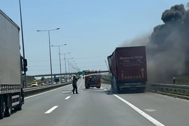 GORI KAMION NA NOVOSADSKOM AUTO-PUTU: Vatrogasci na terenu! (FOTO)