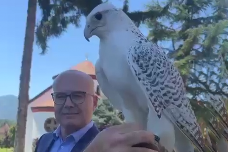 "SIMBOL POBEDE I SLOBODE, ŽIVELA SRBIJA!": Soko Nera na ruci premijera Vučevića (VIDEO)