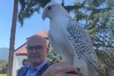 "SIMBOL POBEDE I SLOBODE, ŽIVELA SRBIJA!": Soko Nera na ruci premijera Vučevića (VIDEO)