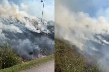 VATRENA STIHIJA PROŽDIRE NASIP KOD FUTOGA! Nisko rastinje napravilo pravu havariju! (VIDEO)