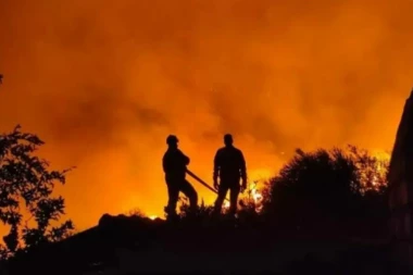 VELIKI POŽAR KOD BORSKOG SELA ZLOT: Gori dva hektara niskog rastinja!