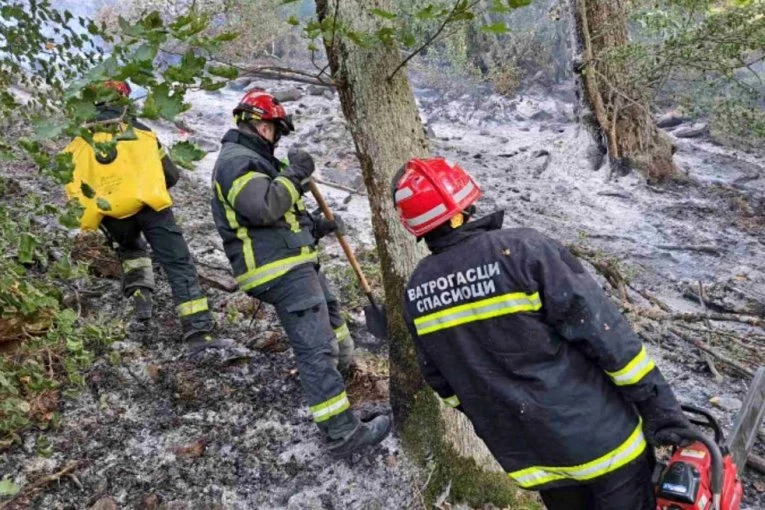 VELIKI POŽAR KOD SUBOTICE: Gori šuma na Velikom Radanovcu!