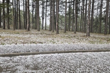 KRENULO JE NEVREME, NA ZLATIBORU GRAD VELIČINE ORAHA! Pljusak se ne stišava, na ulicama potop! Ljudi panično utrčavaju u obližnje lokale kako bi se sklonili! (VIDEO)