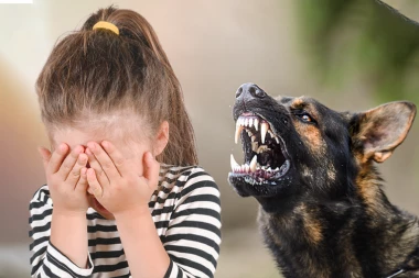 PAS UJEO DEVOJČICU U ZEMUNU, MAJKA ODMAH PODNELA PRIJAVU PROTIV VLASNIKA! Evo kolika kazna preti u ovim situacijama