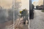 VELIKI POŽAR U OKOLINI ZEMUN POLJA, ČETIRI VATROGASNA VOZILA NA TERENU! Vatra se širi ka kućama! (VIDEO)