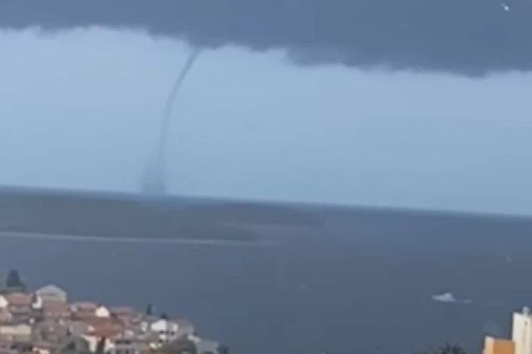 IZDATO HITNO UPOZORENJE! Pojavile se PIJAVICE! Snimljene na Jadranu oko pet hrvatskih gradova! (FOTO/VIDEO)