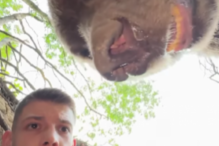 Si è ritrovato con un ORSO FACCIA A FACCIA, la commozione generale era FELICE! (VIDEO)