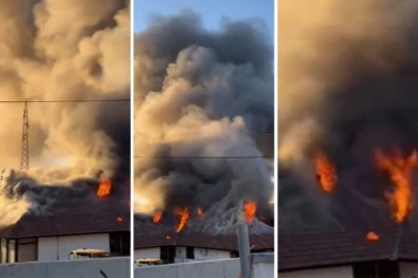 POŽAR U GRČKOJ: Dve osobe pronađene mrtve, stotine vatrogasaca na terenu