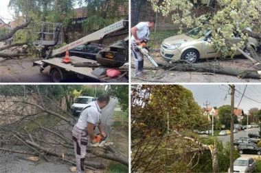 NEVREME PARALISALO DELOVE SRBIJE! Vetar nosi sve pred sobom, čupao drveća, stabla padala na vozila!  NAJGORE TEK PRED NAMA! (FOTO)