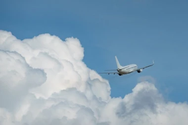 AVION PUN PUTNIKA UDARIO U OPASNU ŽIVOTINJU: Niko ne zna kako se zver našla na pisti