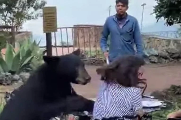 STRAVIČNO! Medved upao u restoran hotela, pa NASRNUO KANDŽAMA NA ŽENU (VIDEO)