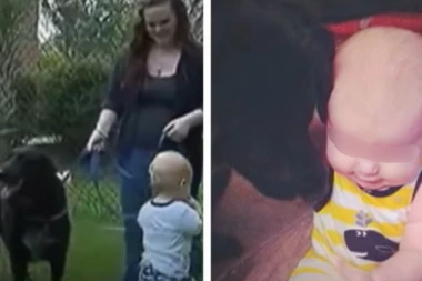 UNAJMILI SU DADILJU, ALI JE NJIHOV PAS UBRZO POSTAO AGRESIVAN SVAKI PUT KAD JE UGLEDA! Krišom su postavili kamere i čuli šta je radila bebi, zavrištali su od bola! (VIDEO)