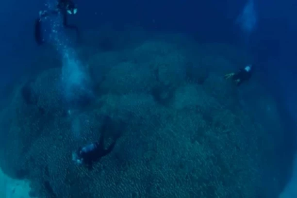 TOLIKO JE VELIKI DA SE MOŽE VIDETI IZ SVEMIRA: Neverovatno šta su ovo naučnici upravo otkrili (FOTO/VIDEO)