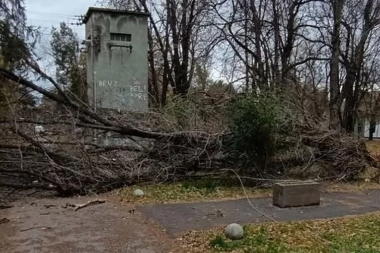 VETAR ČUPAO DRVEĆE U NASELJU JAŠE TOMIĆ! Olujni udari, celo mesto bez struje! (FOTO)