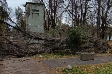 VETAR ČUPAO DRVEĆE U NASELJU JAŠE TOMIĆ! Olujni udari, celo mesto bez struje! (FOTO)