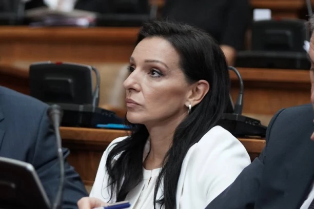 DA LI MARINIKA PRIZIVA KRV?! Srbija je u građanskom ratu, samo još da se zapuca, treba uhapsiti Aleksandra i Andreja Vučića (VIDEO)