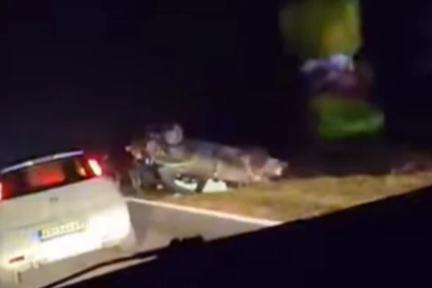 TEŽAK SUDAR KOD BAVANIŠTA, JEZIVE SCENE NA LICU MESTA! Jedan automobil na krovu, drugi sav razlupan! (VIDEO)