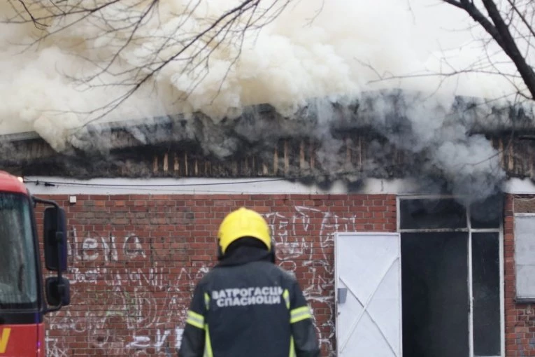 PEDESETORO DECE EVAKUISANO IZ BUKTINJE NA ADI! Potresne scene: Majke drže decu u naručju i teše ih, NAJMLAĐE IMA SAMO PET MESECI! (FOTO, VIDEO)