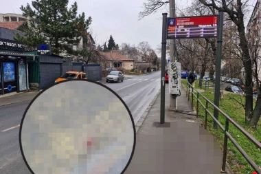 PSI CVILELI PORED POLICAJKE U LOKVI KRVI! Novi potresni detalji horora na Voždovcu: Krenula je kući da obuče uniformu, a onda je pokosio automobil! (FOTO, VIDEO)