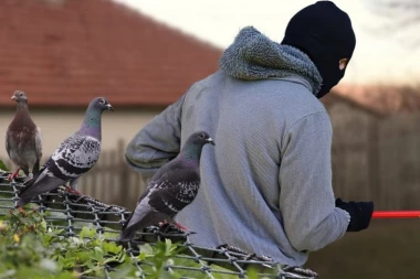 NESVAKIDAŠNJA KRAĐA U GLUVO DOBA NOĆI U VELIKOM MOKROM LUGU! Ušao je u dvorište i iz kaveza ukrao plen! (VIDEO)