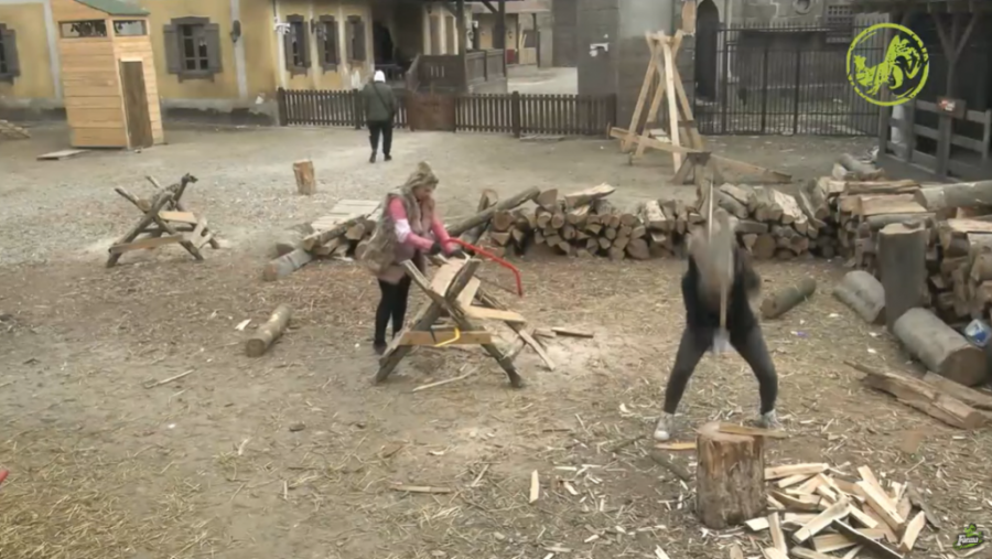 ŠOK! POVREĐENA JOŠ JEDNA UČESNICA "FARME": Dohvatila sekiru, nastao HAOS! (GALERIJA)